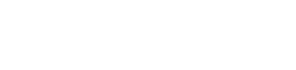 Caseveti Logo